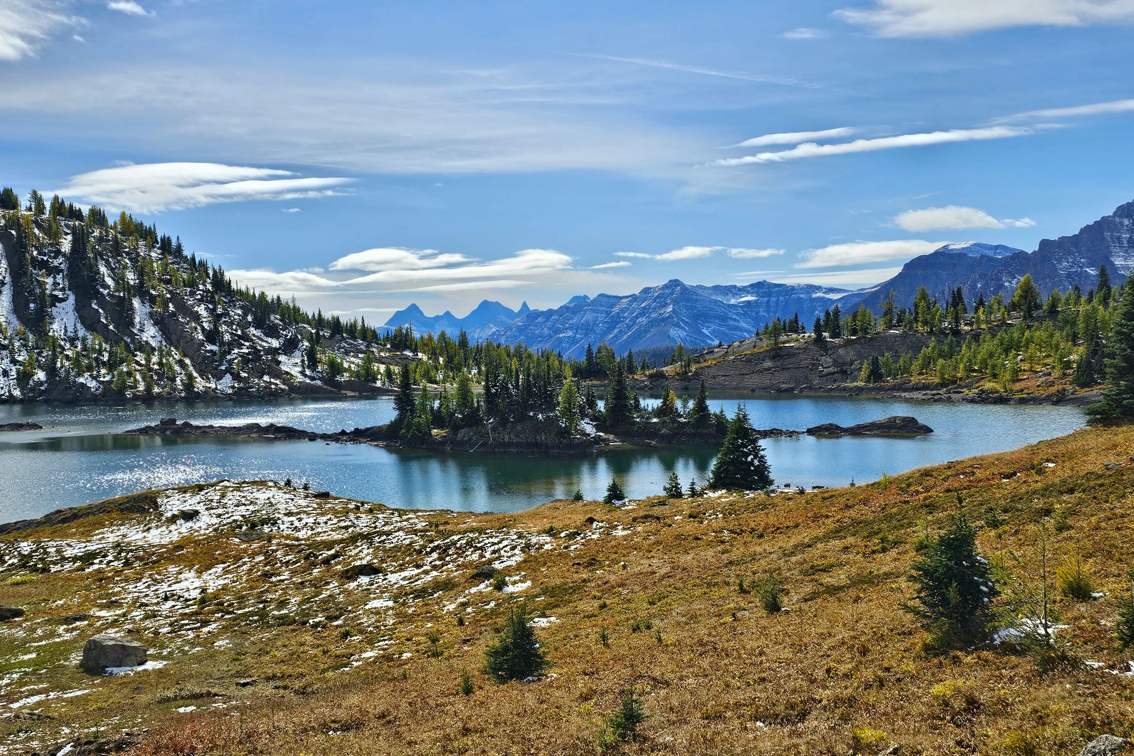 Sunshine Meadows